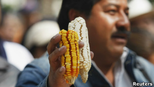 Protesto de fazendeiros mexicanos contra milho transgnico. |Foto: Reuters