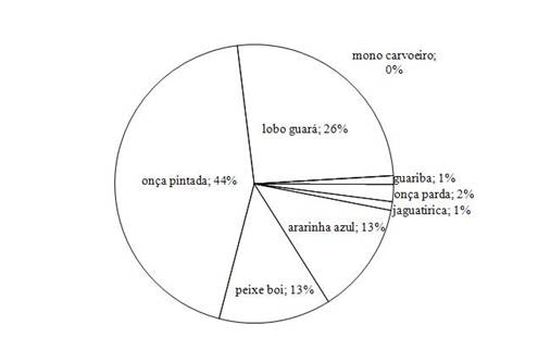 imagem1