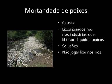Description: I:\Apresentaes alunos - problemas ambientais\Problemas ambientais RT tarde.jpg