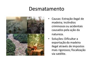 Description: I:\Valdir\Apresentaes alunos - problemas ambientais\Problemas ambientais mdio 2.jpg